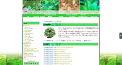 Desktop Screenshot of cytrade.namjai.cc