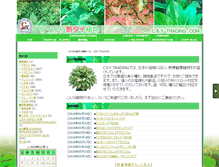 Tablet Screenshot of cytrade.namjai.cc